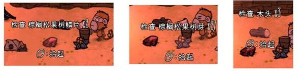饥荒月亮码头的诅咒新植物一览