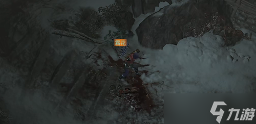 暗黑破坏神4霜花任务完成方法