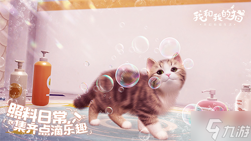 猫咪集结中 西山居休闲社交手游《我和我的猫》测试今日开启