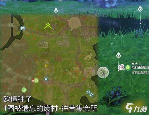 莱莎的炼金工房3欧楂种子在哪里 莱莎3欧楂种子采集地点一览