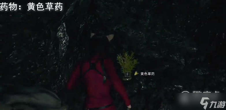 生化危机4重制版第十三章扩展宝藏在哪里