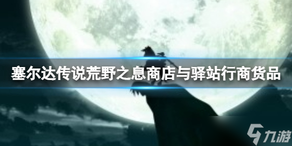 《塞尔达传说荒野之息》驿站行都能够买哪些道具？商店与驿站行商货品一览