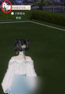 以闪亮之名夜猫猫几点出现