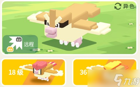宝可梦大探险波波攻略