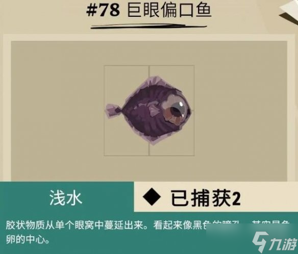 《漁帆暗涌》dredge馬羅群島魚(yú)獲圖鑒匯總 馬羅群島魚(yú)類有哪些？