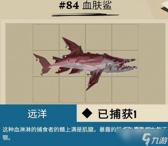 《漁帆暗涌》馬羅群島魚類一覽