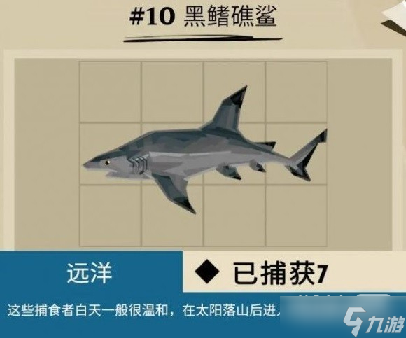 《渔帆暗涌》马罗群岛鱼类汇总一览