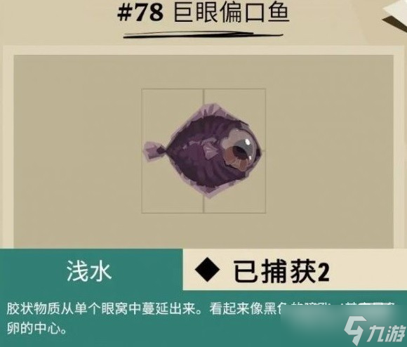 《漁帆暗涌》馬羅群島魚類匯總一覽