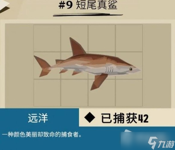 《渔帆暗涌》马罗群岛鱼类汇总