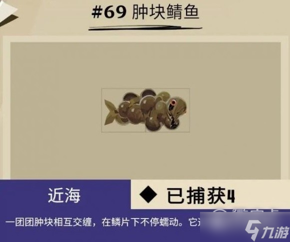 《渔帆暗涌》马罗群岛鱼类一览