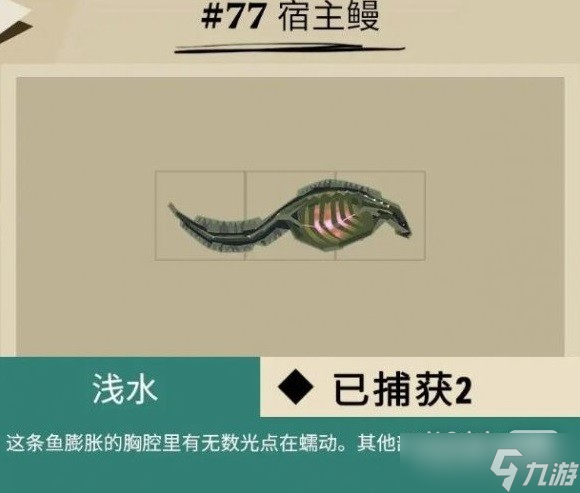 《漁帆暗涌》馬羅群島魚類匯總一覽