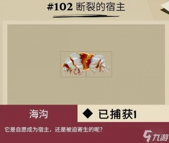 《漁帆暗涌》斯特拉爾灣魚類有哪些？斯特拉爾灣全魚種圖鑒