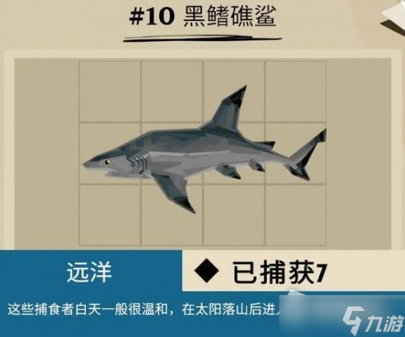 《渔帆暗涌》马罗群岛鱼类汇总