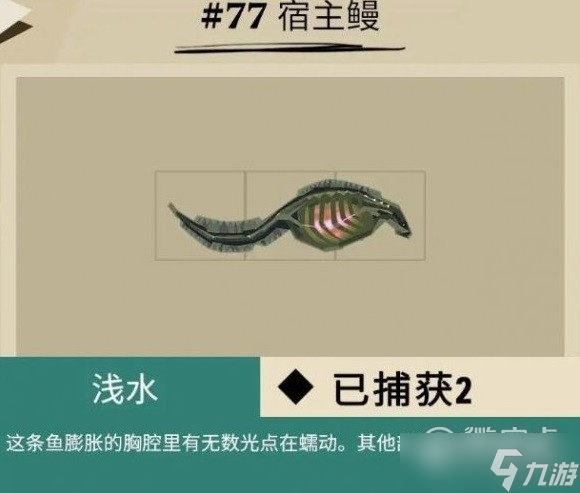 《漁帆暗涌》馬羅群島魚類一覽