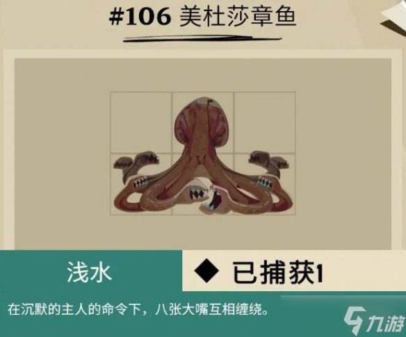 《渔帆暗涌》斯特拉尔湾鱼类有哪些？斯特拉尔湾全鱼种图鉴