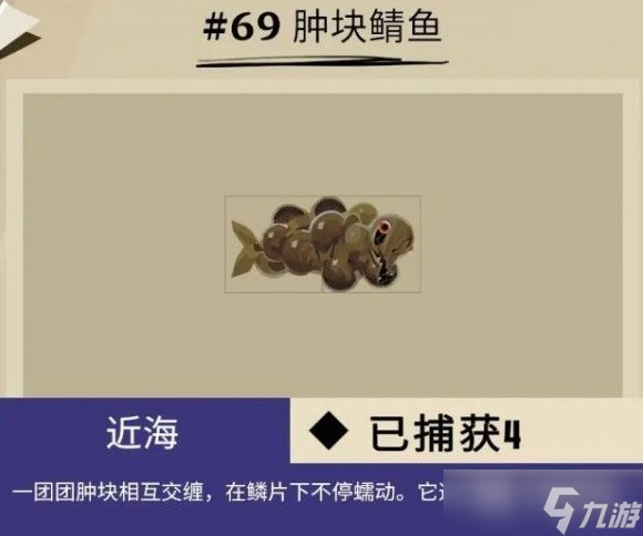 渔帆暗涌马罗群岛鱼类介绍