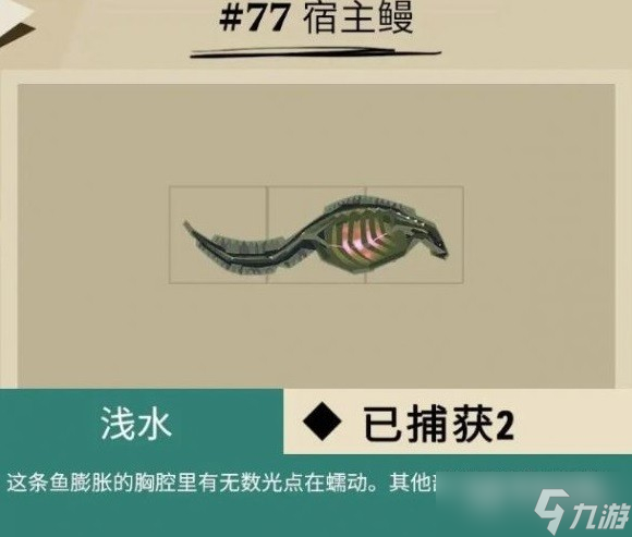 渔帆暗涌马罗群岛鱼类介绍