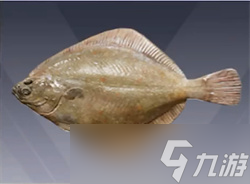 和平精英綠洲世界釣魚(yú)圖鑒