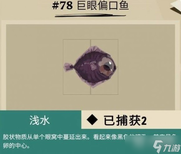 渔帆暗涌马罗群岛鱼类介绍