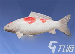 和平精英綠洲世界釣魚(yú)圖鑒