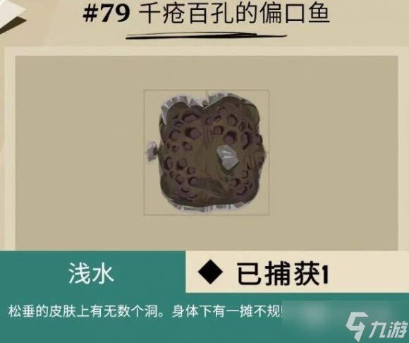 渔帆暗涌马罗群岛鱼类介绍