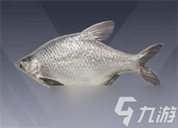 和平精英綠洲世界釣魚(yú)圖鑒