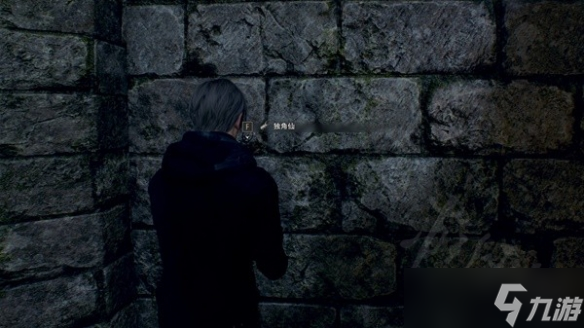 《生化危机4重制版》隐藏独角仙在哪儿？三只隐藏独角仙位置一览