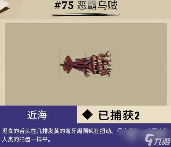 渔帆暗涌马罗群岛鱼类介绍