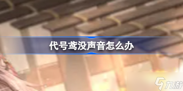 代号鸢没声音怎么办 没声音解决方法一览