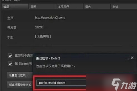 dota2國(guó)服啟動(dòng)項(xiàng)怎么設(shè)置