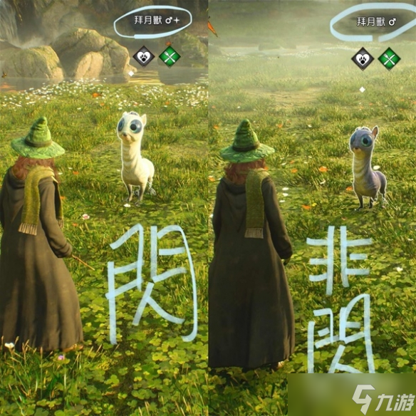 霍格沃兹之遗神器动物怎么抓取