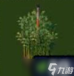 伊始之地怎么显露摩天大楼框架 伊始之地摩天大楼框架显露方法