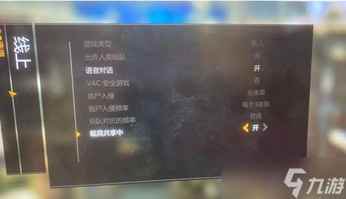 消失的光芒能联机剧情吗