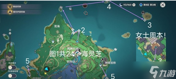 原神海靈芝采集路線