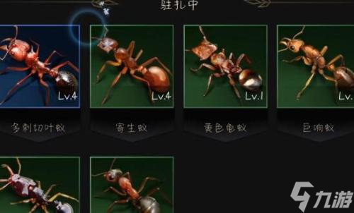 小小蚁国近卫蚁怎么搭配 近卫蚁阵容搭配推荐攻略