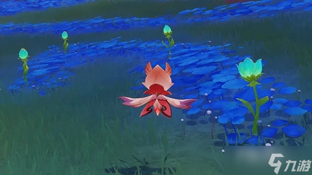 《原神》净觉花开花方法
