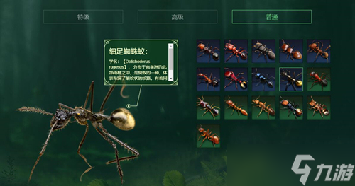 小小蚁国蚁后最多是多少级？蚁后升级方法分享