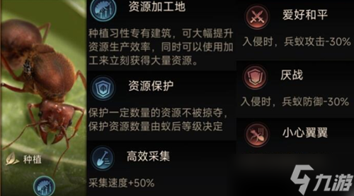 小小蚁国习性该如何选择 习性特点分享