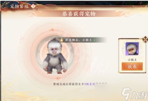天龙八部2手游宠物繁殖攻略