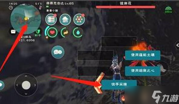 创造与魔法彼岸花怎么摘