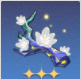 崩坏星穹铁道苦寒晶壳位置