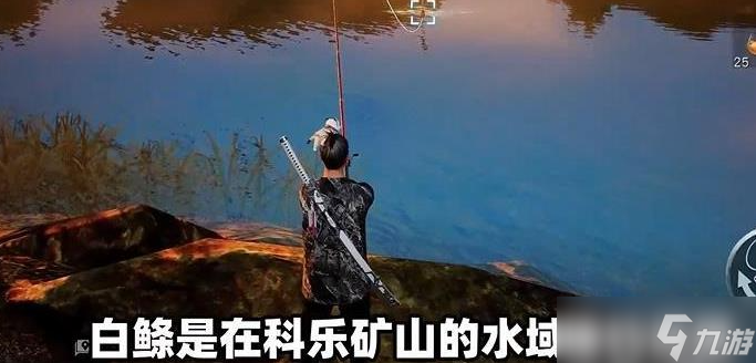 黎明覺醒油炸白鰷魚烹飪教程