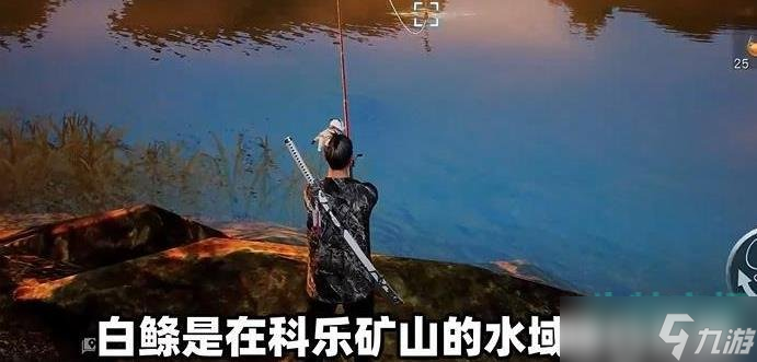 黎明觉醒生机油炸白鲦鱼怎么做-油炸白鲦鱼攻略