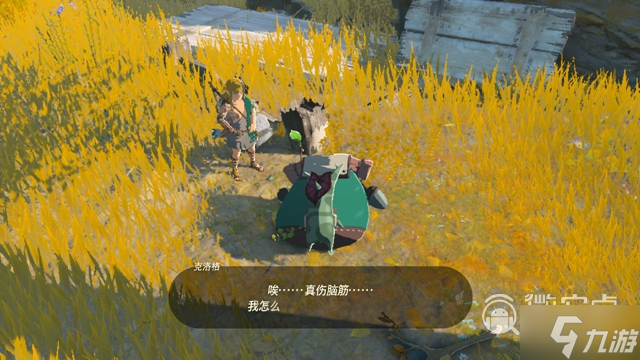 《塞尔达传说：王国之泪》救呀哈哈任务完成方法攻略