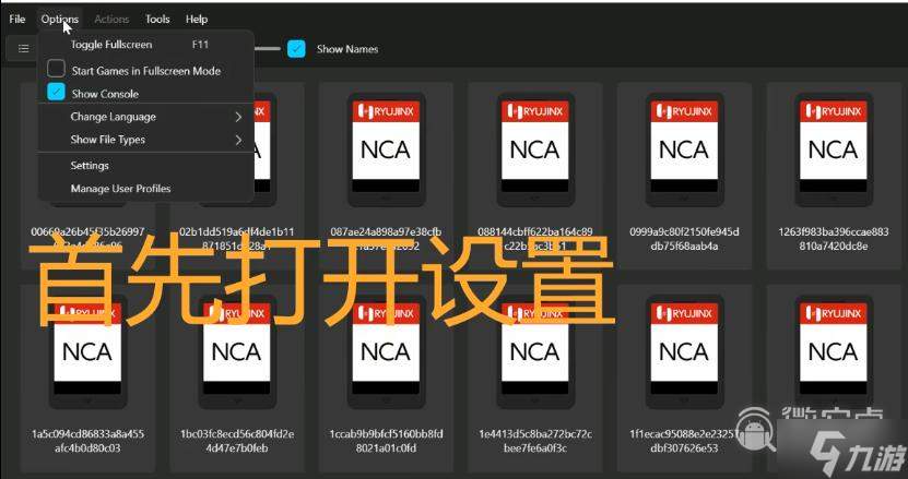 塞尔达传说王国之泪模拟器设置中文教程