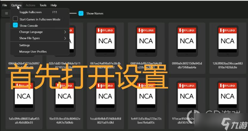 《塞尔达传说：王国之泪》模拟器中文设置教程