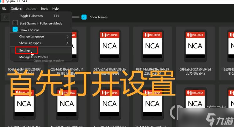 《塞尔达传说：王国之泪》模拟器中文设置教程