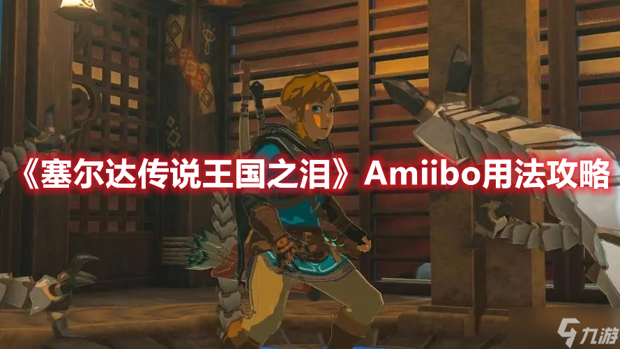 《塞爾達(dá)傳說(shuō)王國(guó)之淚》Amiibo用法攻略