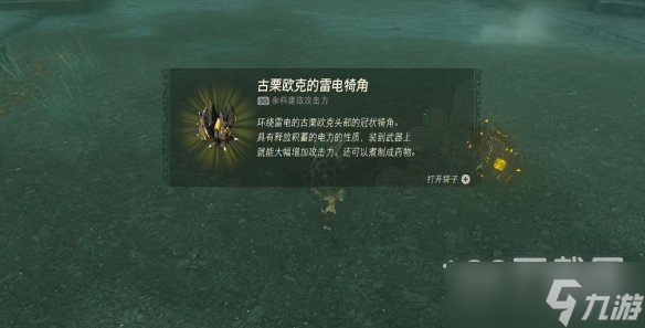 塞尔达传说王国之泪三头龙打法技巧指南