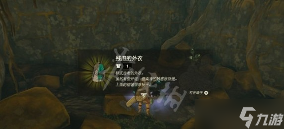 塞尔达传说王国之泪红宝石在哪有什么用